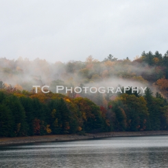 Reservoir Foliage Mist | Taylor Cannon Photography
